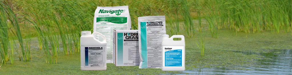 Herbicides for a healthy pond
