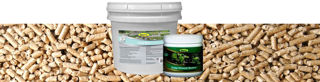 Muck Reducers for your fishing pond